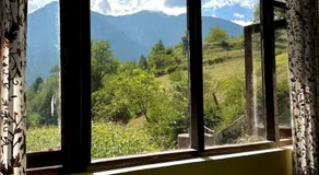 Dreamland Cottage - Image 3
