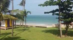 Aloha Lanta - Image 5