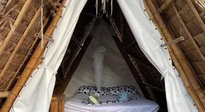 Georgia's Neverland Hostel - Image 2