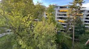 Cozy Champel Studio-Shared - Image 3