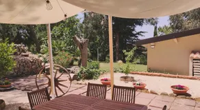 Memento - Image 5