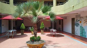 Hotel Primavera - Image 3