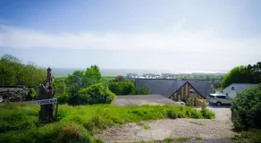 Allen Ridge - Image 3
