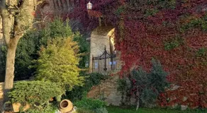 Novecento - Image 4