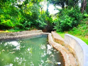Raintree Haven - Image 5