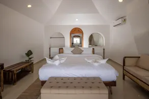 The Coastal Agonda - Image 5