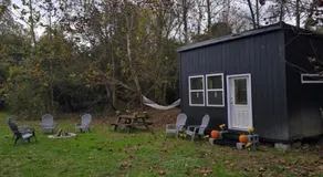 Pondside Cabin - 20 Peaceful Acres with Creek View - Image 3