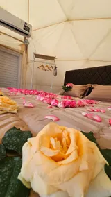 Oasis Inn Glamping - Image 5