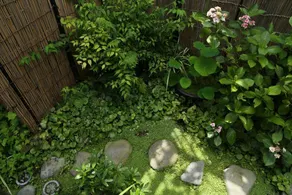 Guest House Kamejikan -turtle time- - Image 2
