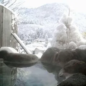Ryokan Onogawa Onsen Juhoen - Image 5