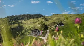 BuchackerAlm -1,5h panoramic walk - Image 4