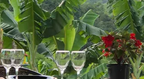 Hotel Boutique La Ceiba - Image 4