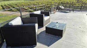 Domaine Wagenbourg Bickel proche de Colmar - Image 5