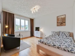 Wohnung in Sankt Lambrecht am Skilift - Image 2