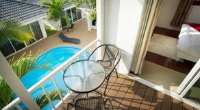 Coconut Palms - Image 3