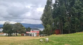 Hospedaje Guatavita cabaña tippie - Image 5