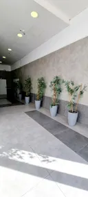 Stay at the Highest Location in Jerusalem - Image 3