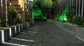 Four seasons - Image 4