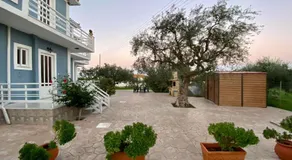 Stelios Studios - Zante Seaview Nests - Image 4