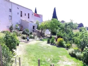 Au pied du Figuier - Image 3