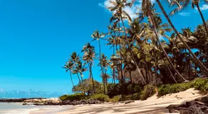 Go Camp Maui - Image 2