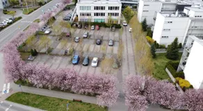 Apartament Bażantowo typu studio z parkingiem - Image 4