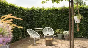 B&B De Ouw Skuur - Image 5