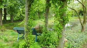 Gastenverblijf 't Nagtegaeltje - Image 3