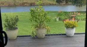 Bird Song Farm - Image 5
