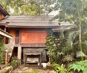 Fish house+ - Image 4