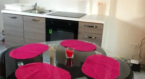 Duplex Hyper centre colmar - Image 4