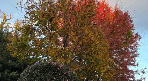 Milele B&B - Image 5