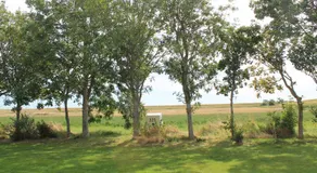 Deichhus Nordseeliebe direkt am Deich - Nordsee - Dagebüll - Am Vogelreservat - Image 5