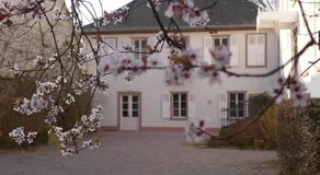 La Maison Carré - Image 2