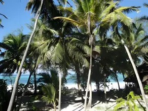 Panga Chumvi Beach Resort - Image 5