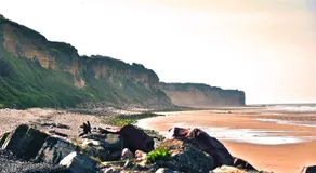 Résidence La Plage d'Or - Image 5