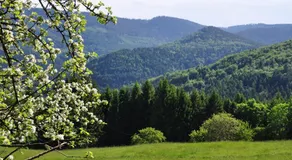 Gite Rammelstein - Image 5