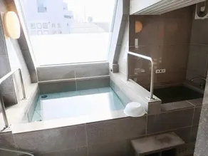 Hotel Shimbashi Sambankan - Image 4