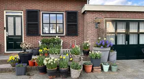 Flowerbed - Image 4