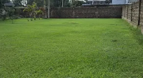 Ado Hotel - Image 2