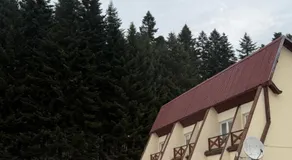 OW Wisan - Image 4