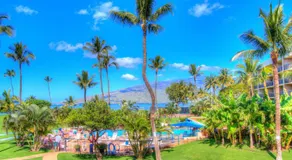 Maui Sunset B-115 - Image 3