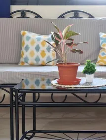 Living in Paradise 1&2BHK Apartment, 'Peaceful stay away from crowds, just a short drive to the beach' - Image 5