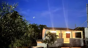 Home - Image 4