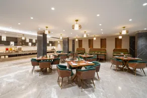 Ginger Indore Nipania - Image 2