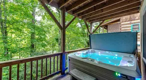 Bear Pause Cabin 3 BR/3BA Amazing view of the Lake - Image 4