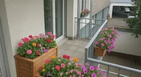 Cityresidenz Karlsruhe - Image 2