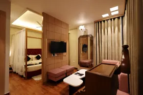 THE ELEGANCE - Image 4