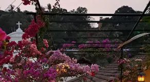 Afonso Guest House - Fontainhas - Image 5