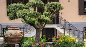 Villa Agostino  - Image 3